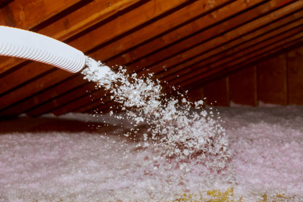Best Commercial Insulation in Naco, AZ