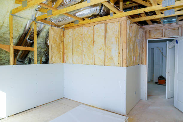 Best Cellulose Insulation in Naco, AZ
